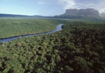 foresta-amazzonica-il-cuore-del-brasile